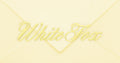 Trending Envelope Gift Card