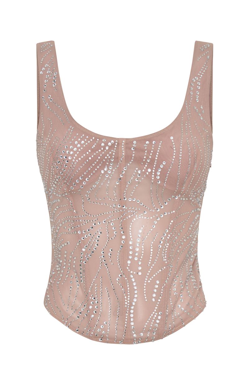 Trending Tender Shadows Embellished Top Nude