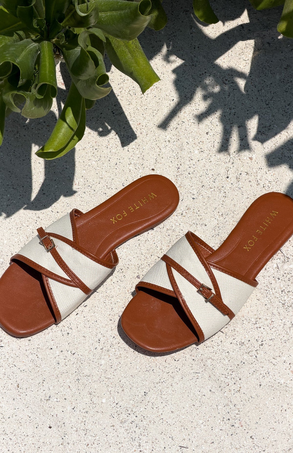 Trending Pearson Slides Tan