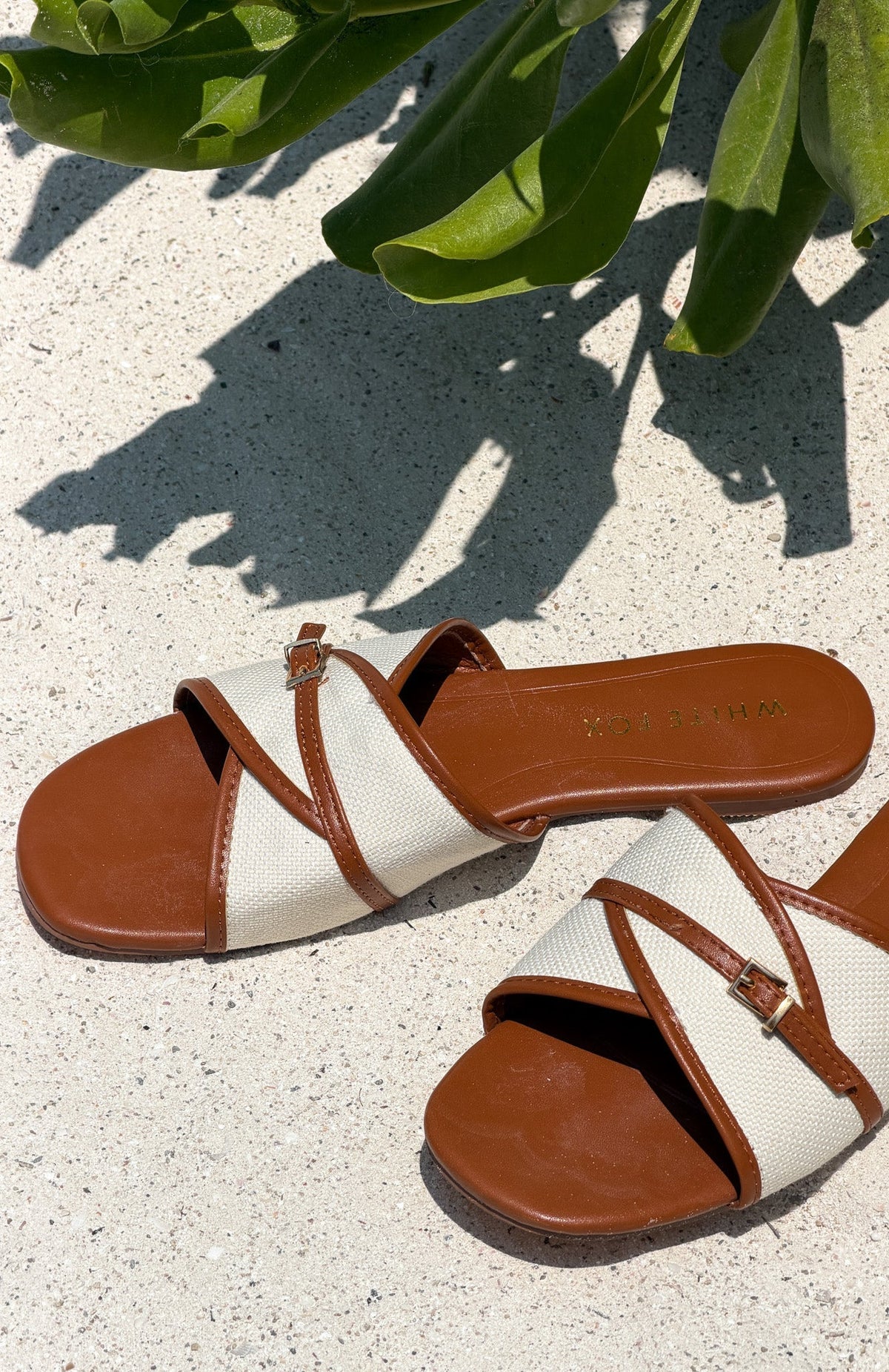 Trending Pearson Slides Tan